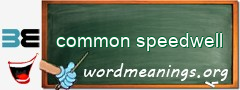 WordMeaning blackboard for common speedwell